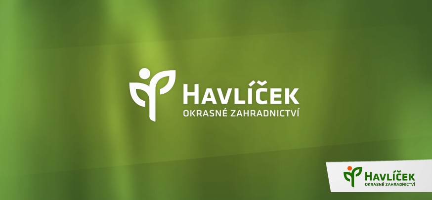 Havlíček2